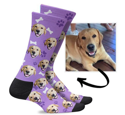 Kundenspezifische Hundesocken