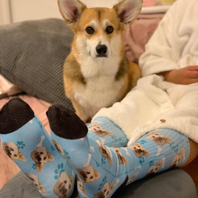 Kundenspezifische Hundesocken